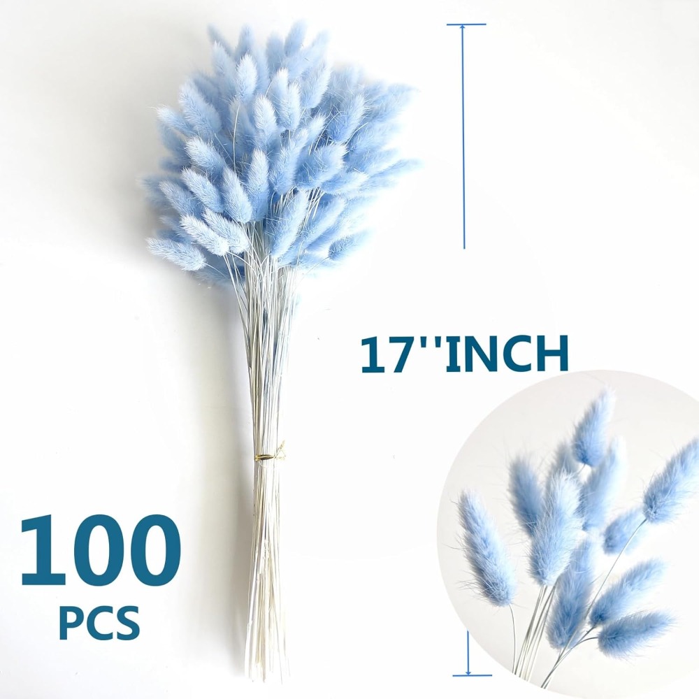 100PCS 블루 토끼 꼬리 잔디 토끼 꼬리 홈 룸 생 - Florist Supply Vases 리뷰 및 가격