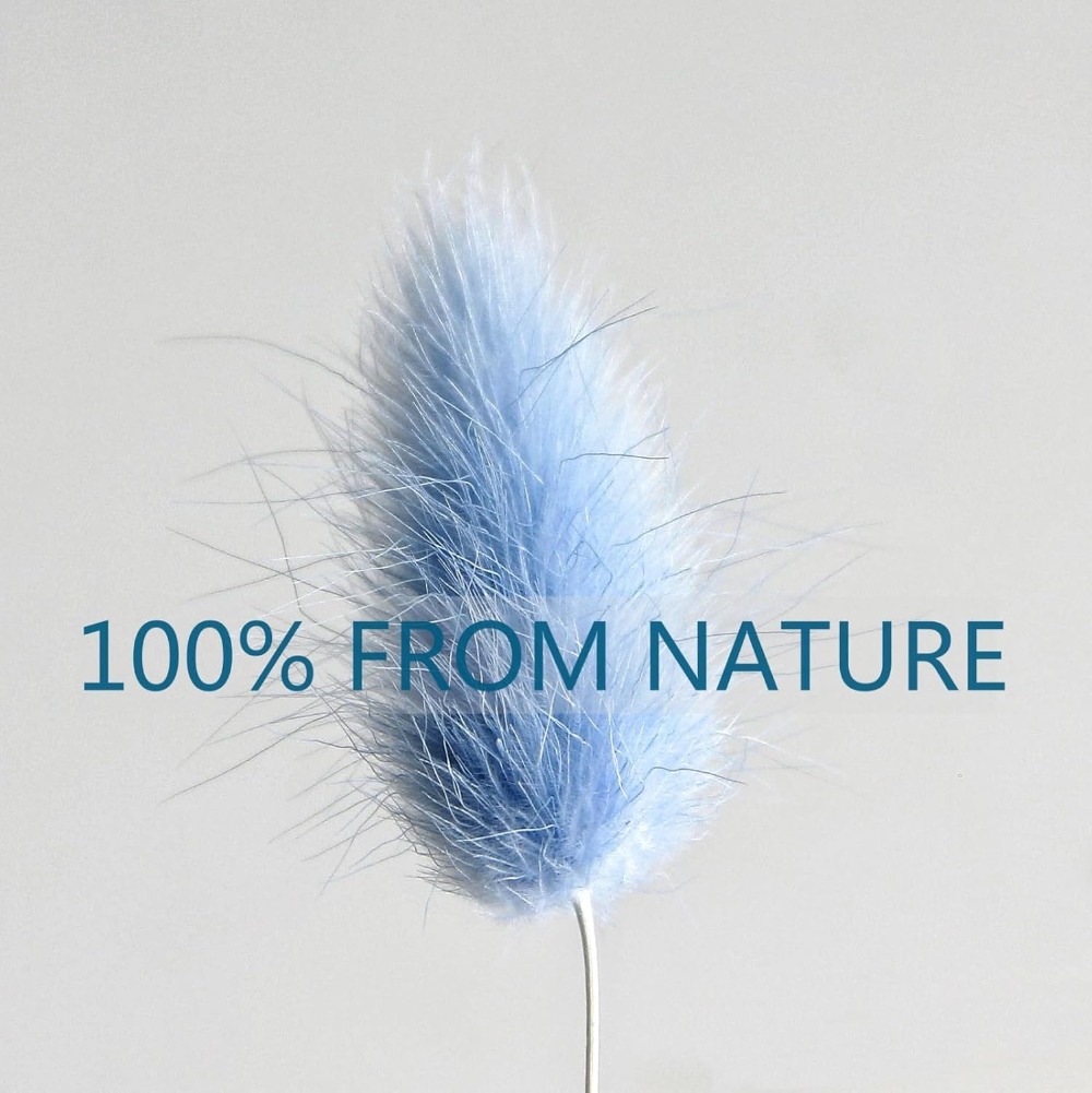 100PCS 블루 토끼 꼬리 잔디 토끼 꼬리 홈 룸 생 - Florist Supply Vases 리뷰 및 가격